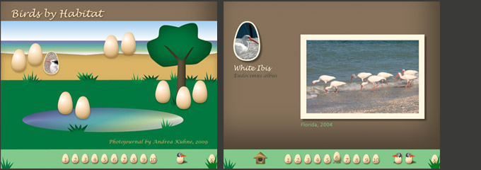 Interactive Photojournal